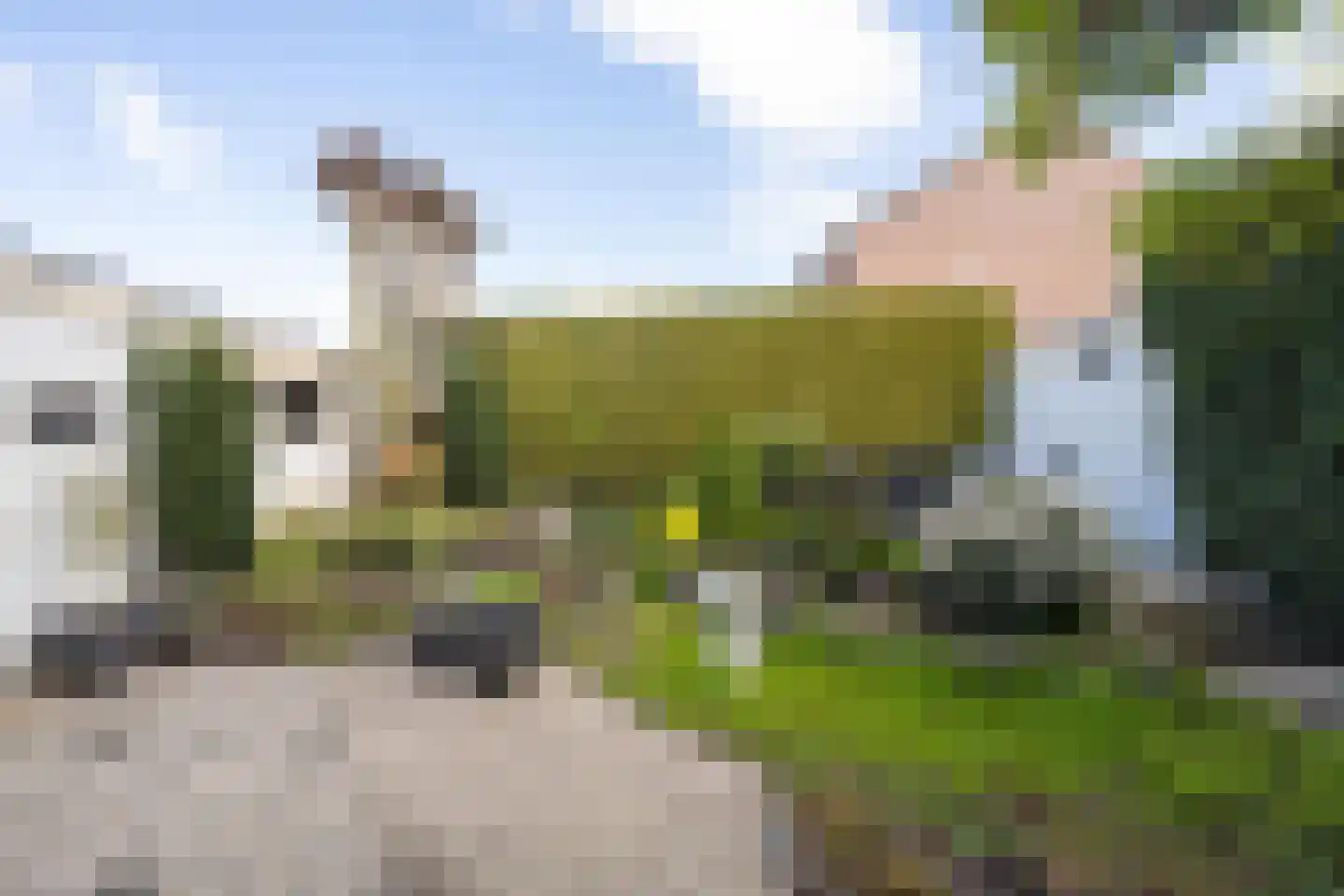 Rozenstraat 36 Beneden-Leeuwen thumbnail 45