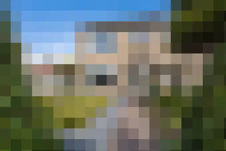 Rozenstraat 36 Beneden-Leeuwen thumbnail 5