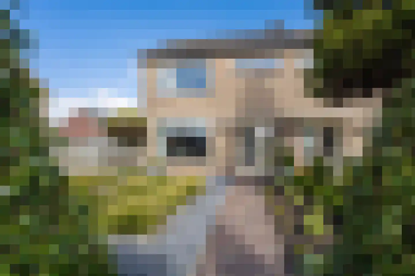 Rozenstraat 36 Beneden-Leeuwen thumbnail 5
