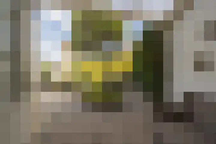 Rozenstraat 36 Beneden-Leeuwen thumbnail 51