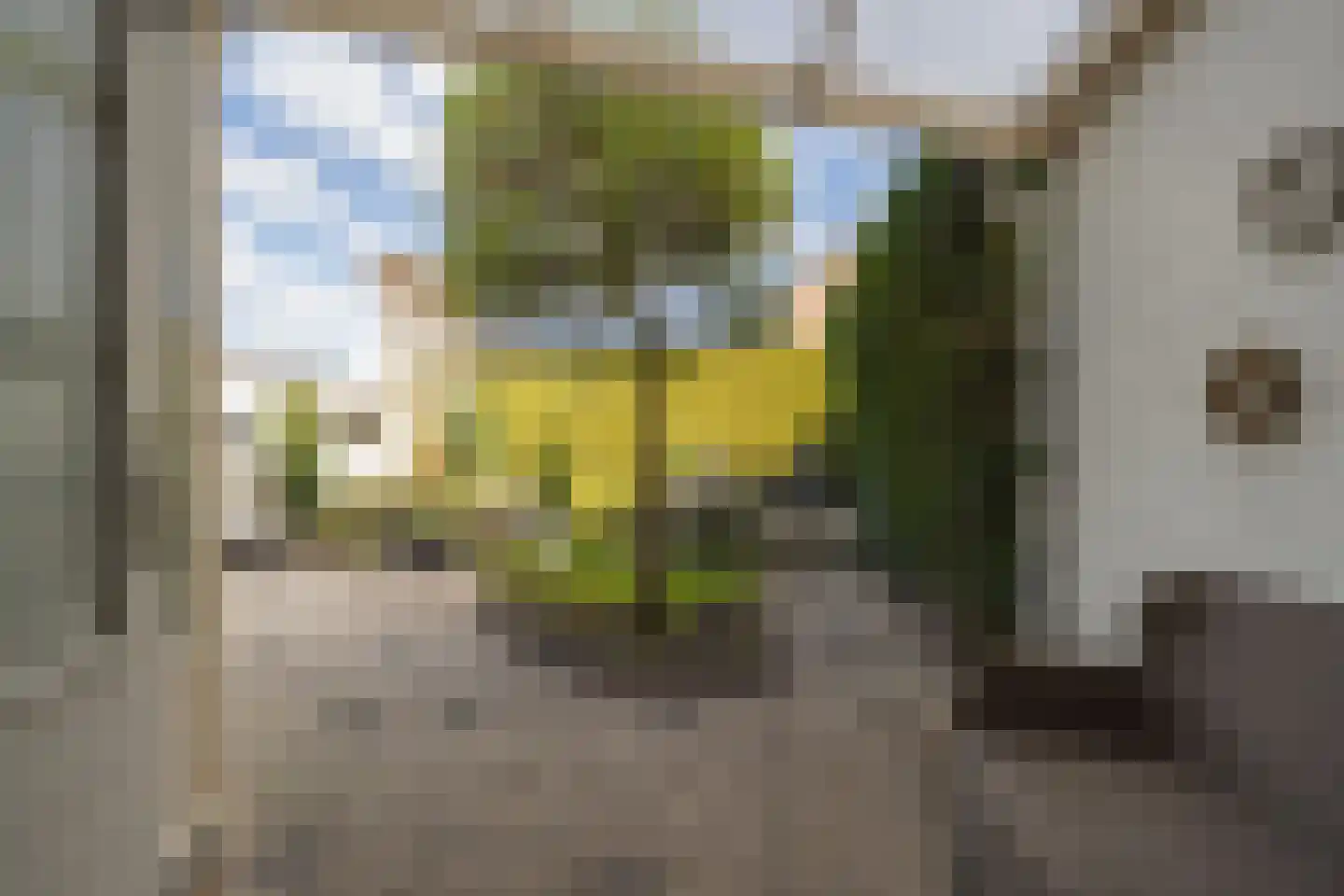 Rozenstraat 36 Beneden-Leeuwen thumbnail 51