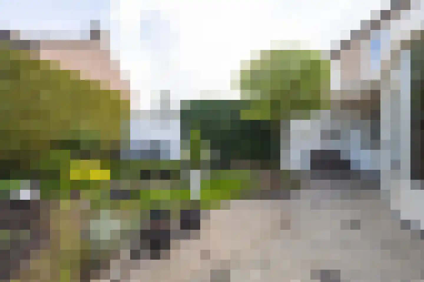 Rozenstraat 36 Beneden-Leeuwen thumbnail 54
