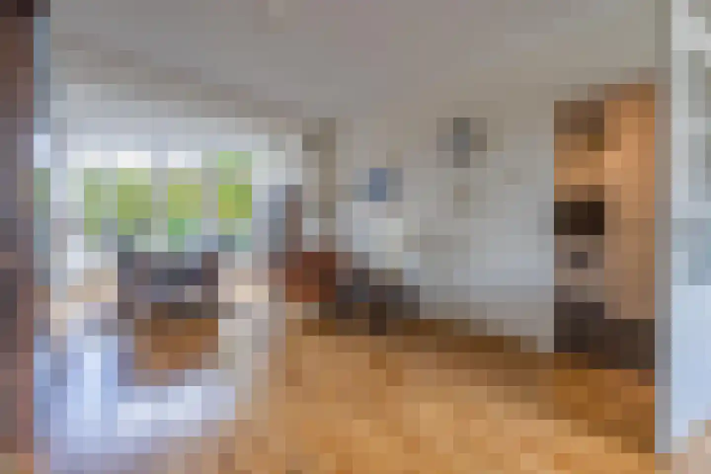 Rozenstraat 36 Beneden-Leeuwen thumbnail 6
