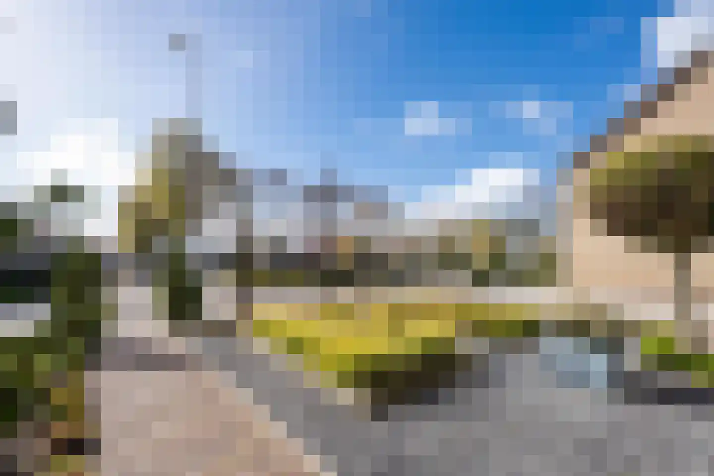 Rozenstraat 36 Beneden-Leeuwen thumbnail 60