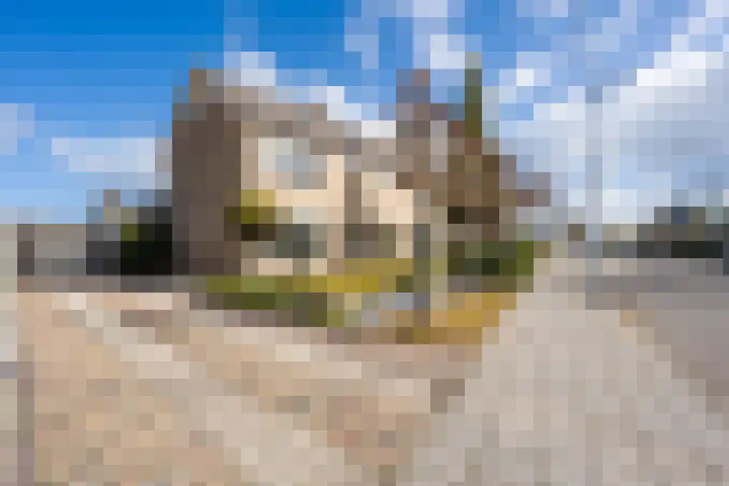 Rozenstraat 36 Beneden-Leeuwen thumbnail 65
