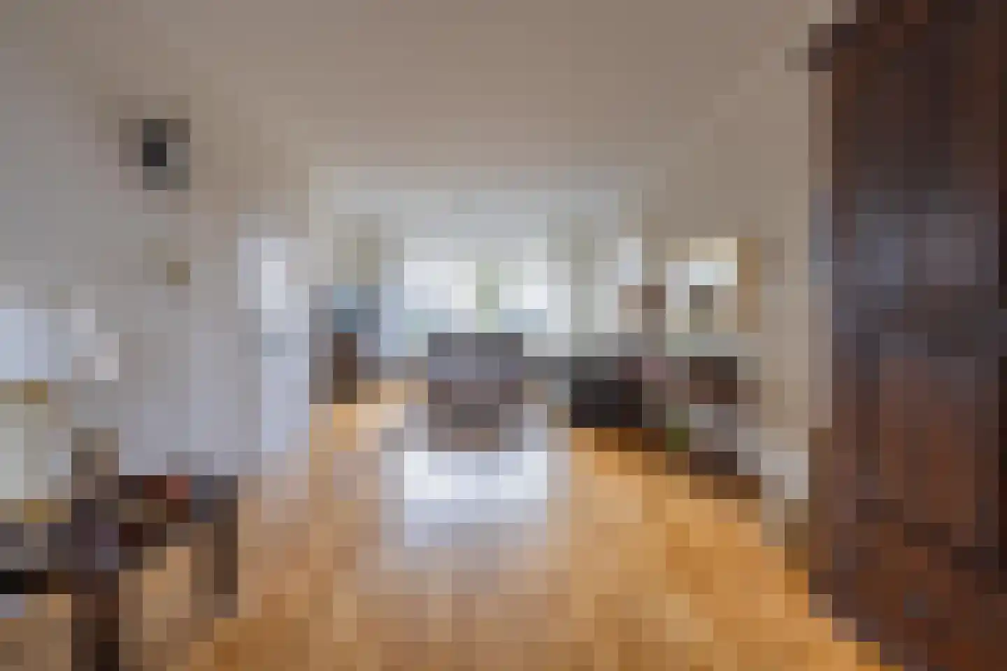Rozenstraat 36 Beneden-Leeuwen thumbnail 7