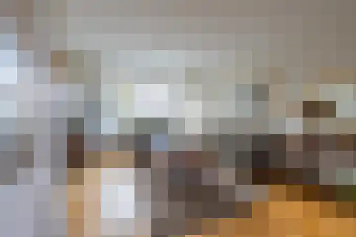 Rozenstraat 36 Beneden-Leeuwen thumbnail 8