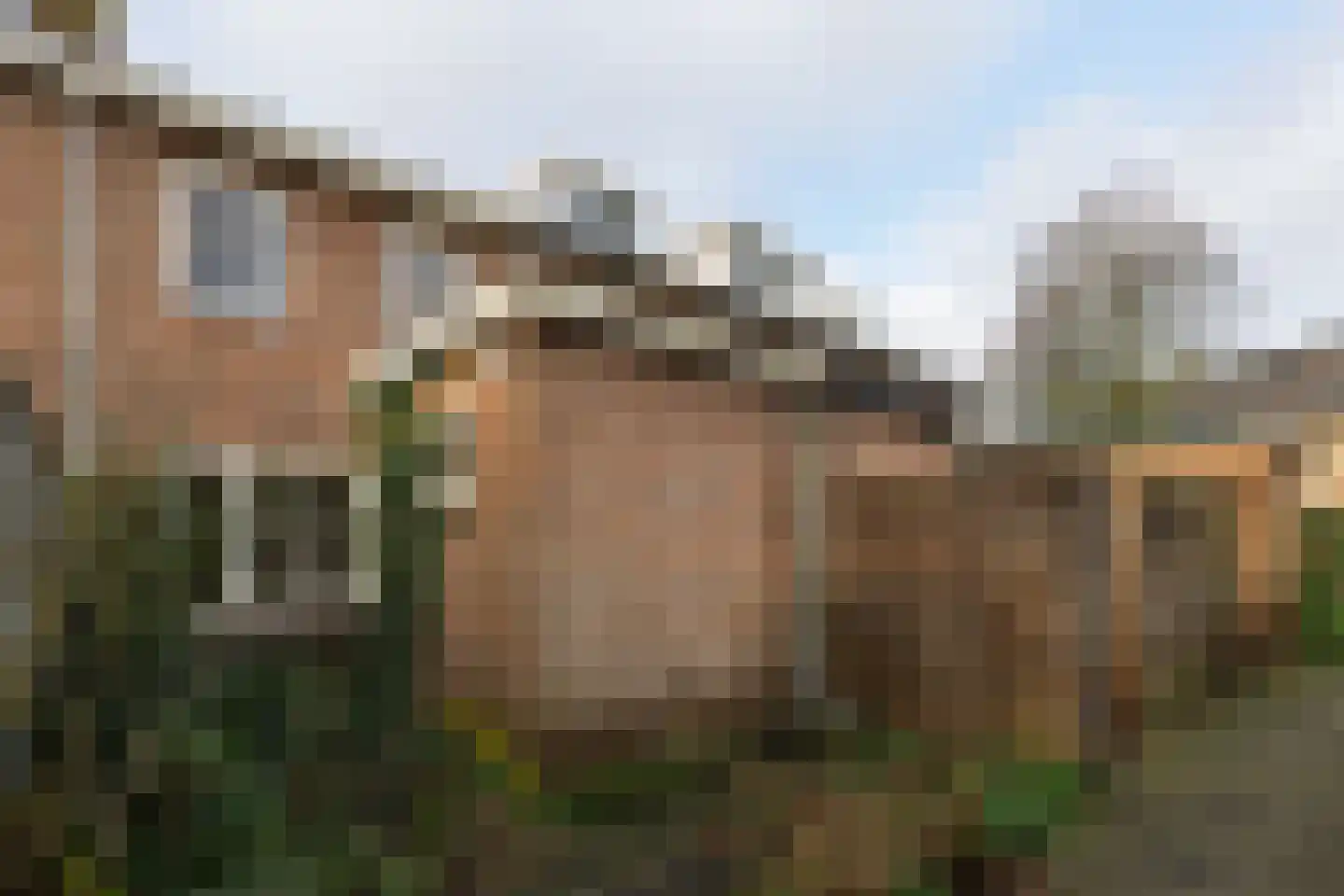 Rozenstraat 36 Huizen thumbnail 18