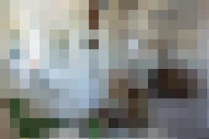 Rozenstraat 37 Barneveld thumbnail 17