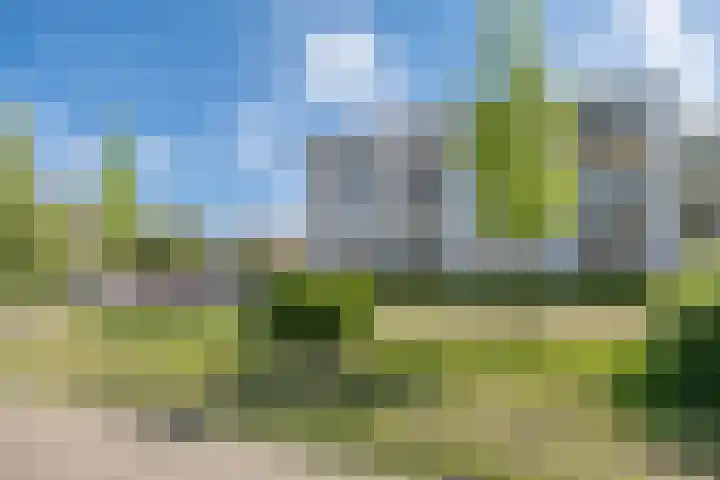 Rozenstraat 37 Barneveld thumbnail 38