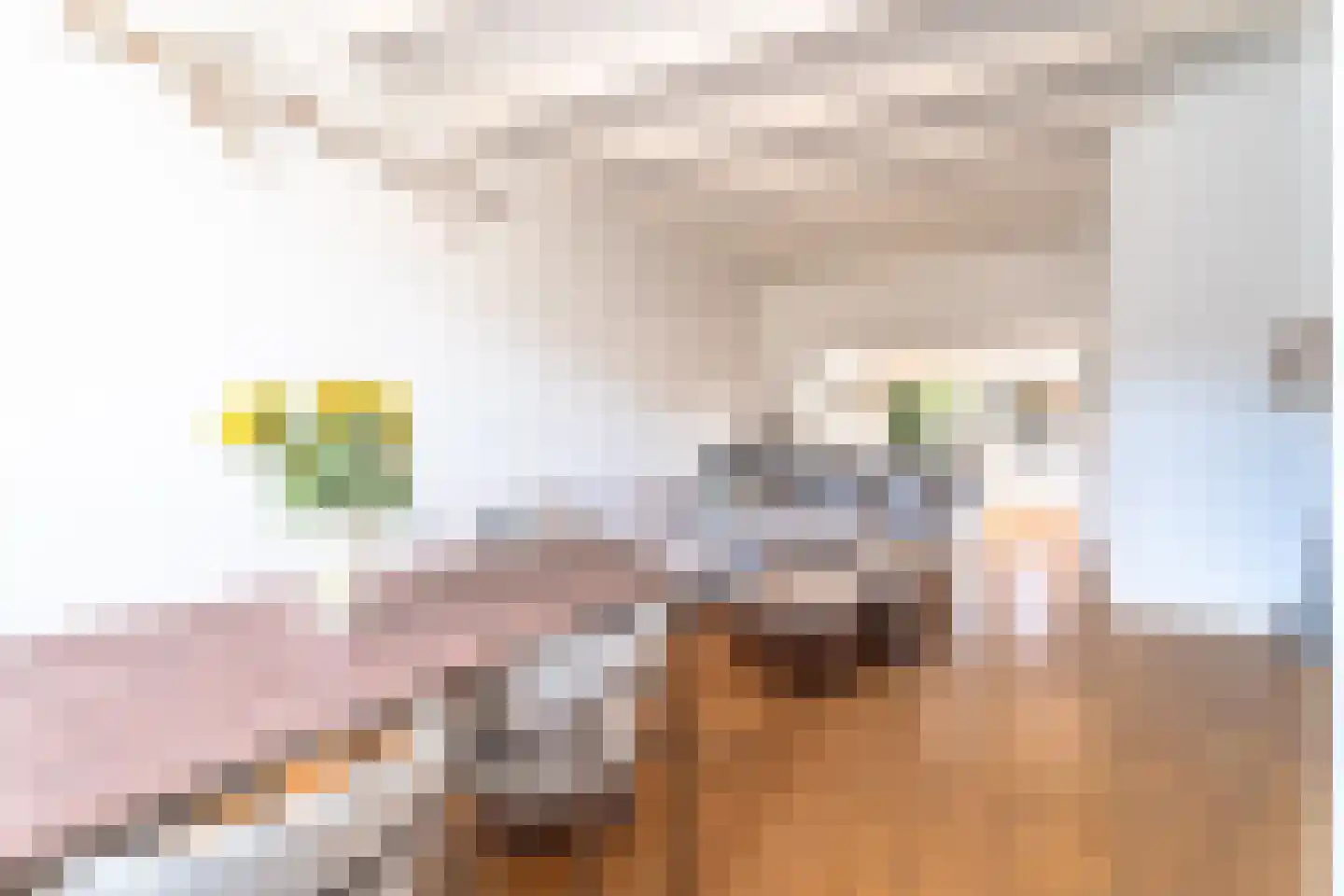 Rozenstraat 37 Zeist thumbnail 4
