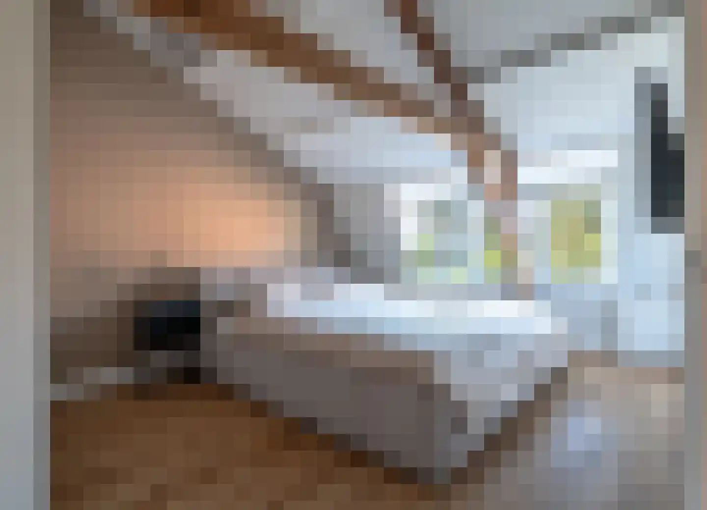 Rozenstraat 37 Zeist thumbnail 8