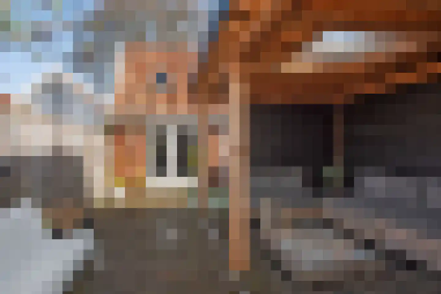 Rozenstraat 38 Almelo thumbnail 27