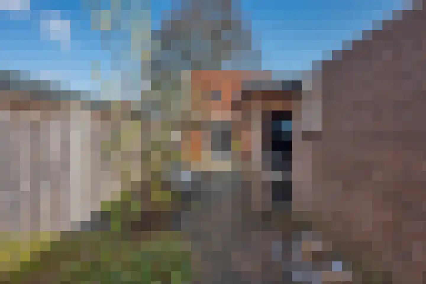 Rozenstraat 38 Almelo thumbnail 33