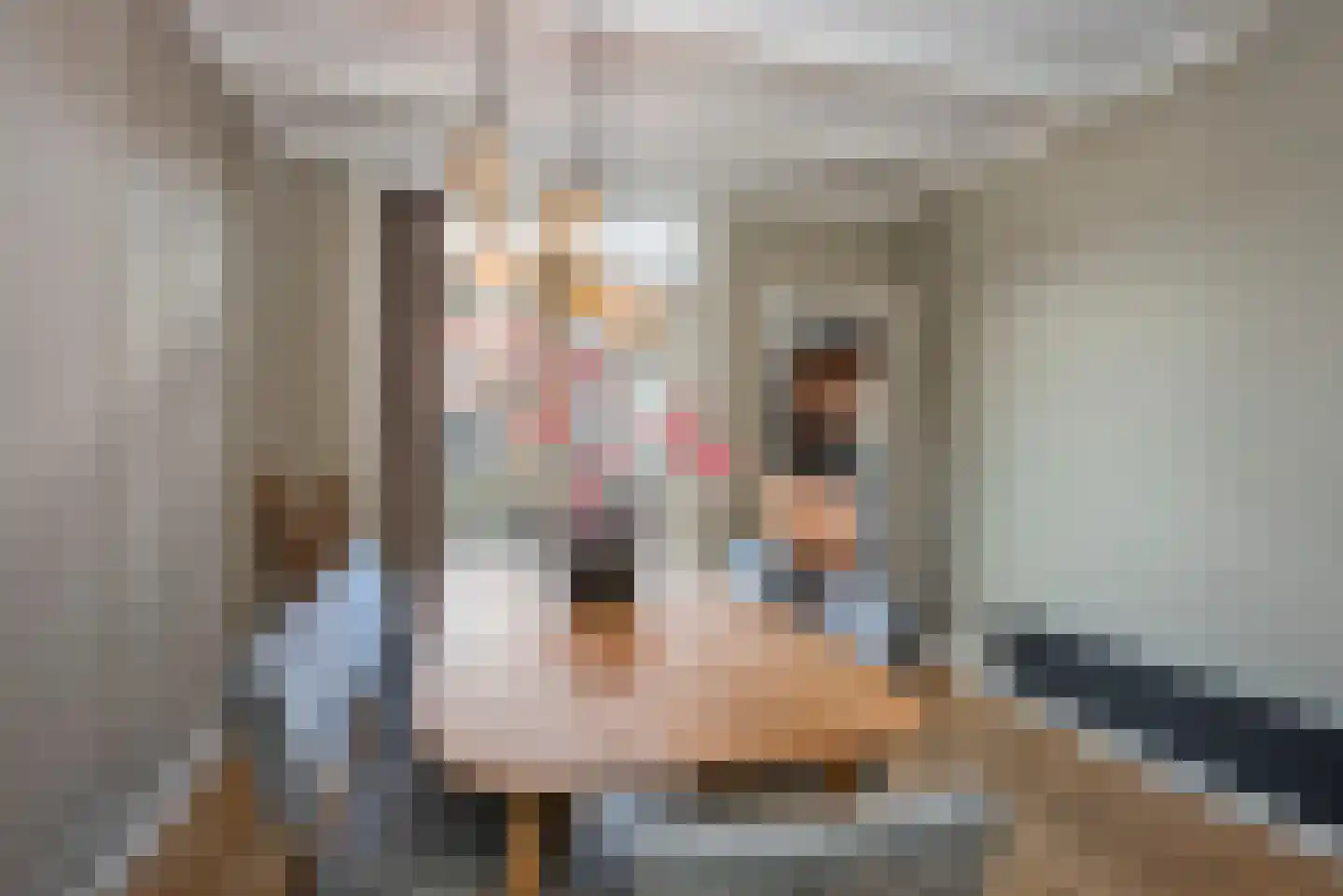 Rozenstraat 38 Almelo thumbnail 8
