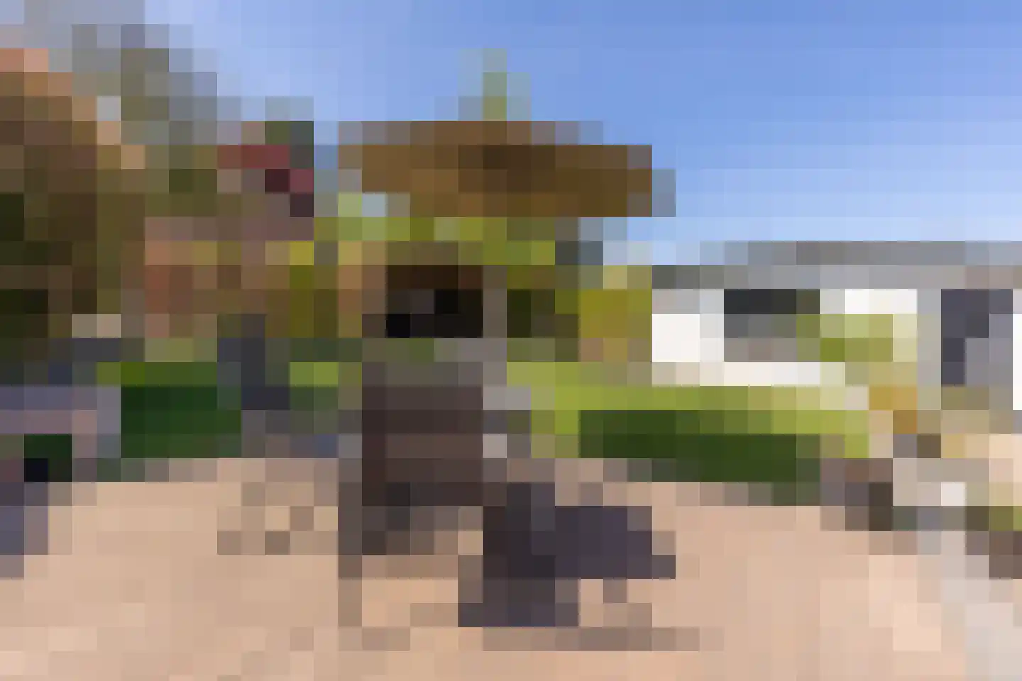 Rozenstraat 38 Nuth thumbnail 25