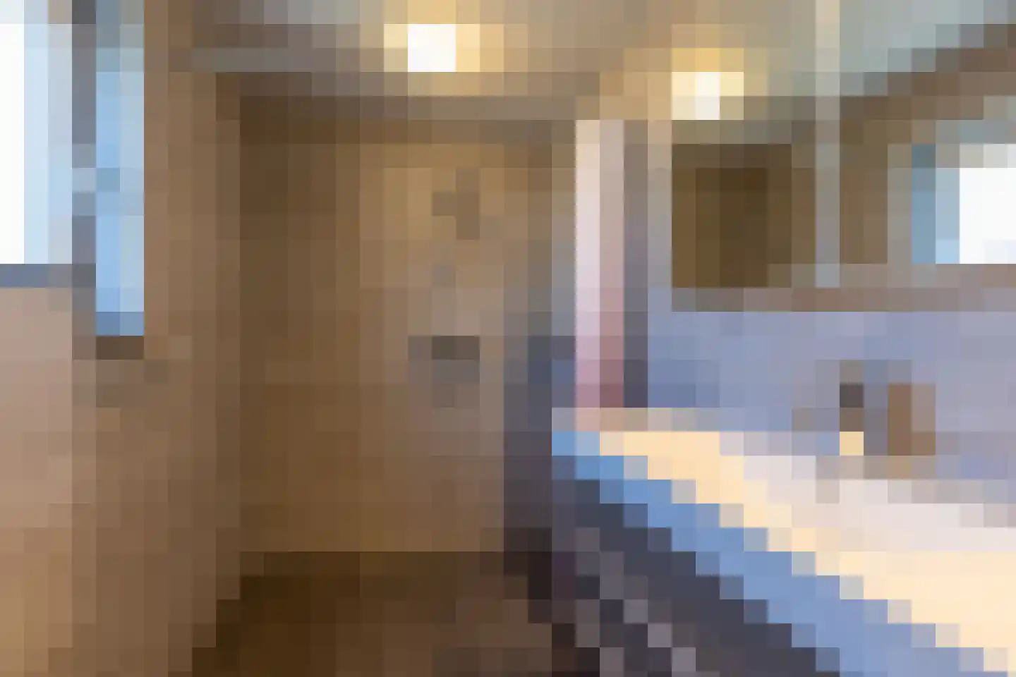 Rozenstraat 38 Nuth thumbnail 39