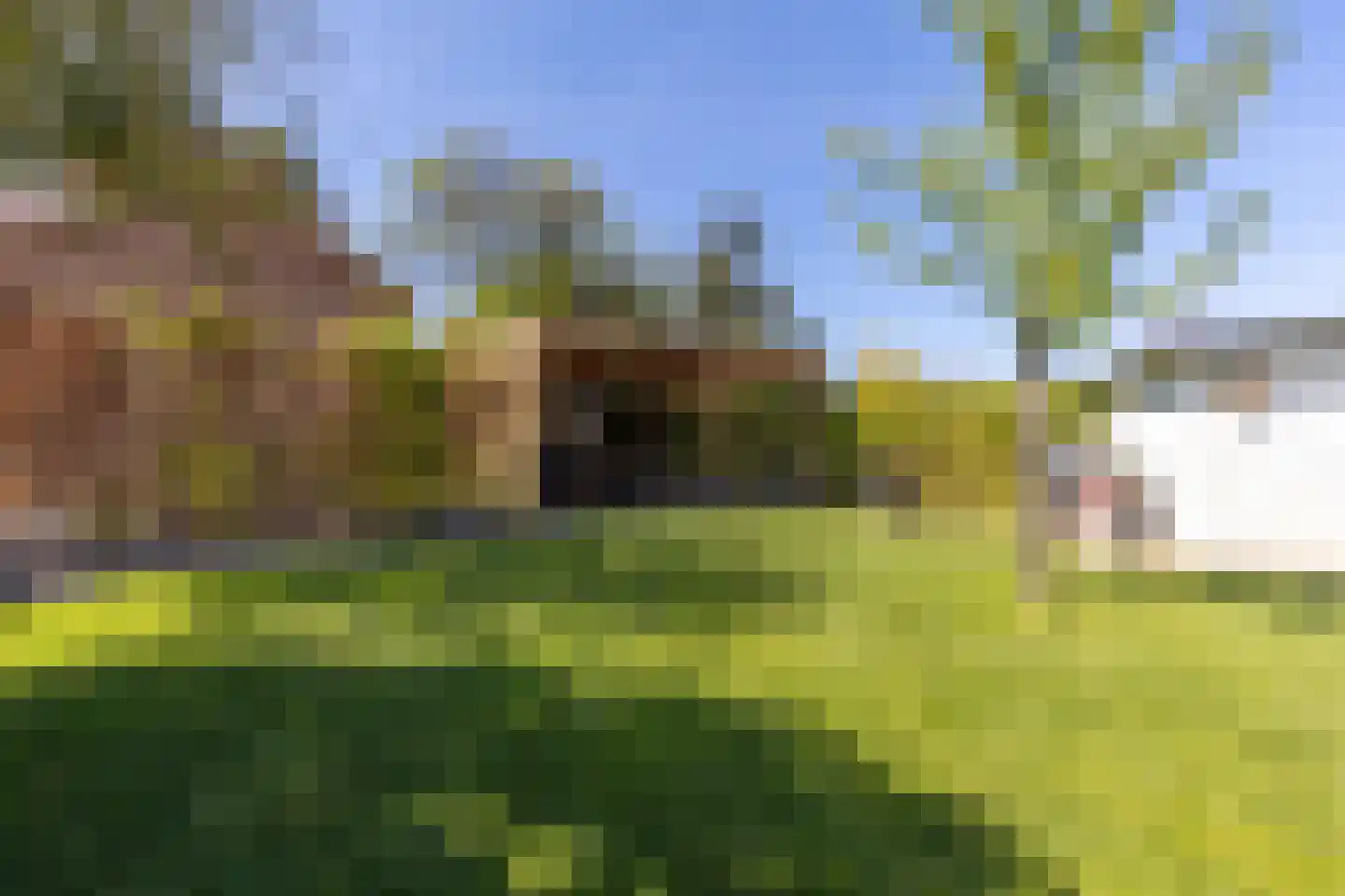 Rozenstraat 38 Nuth thumbnail 5