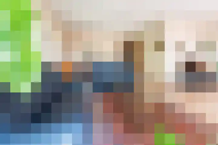 Rozenstraat 4 Gendringen thumbnail 11