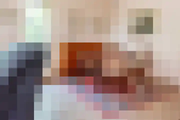Rozenstraat 4 Gendringen thumbnail 14