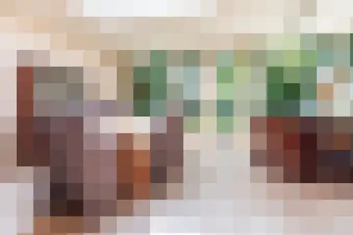 Rozenstraat 4 Gendringen thumbnail 19