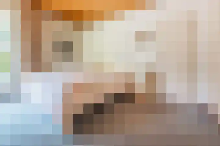Rozenstraat 4 Gendringen thumbnail 23