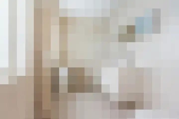Rozenstraat 4 Gendringen thumbnail 28