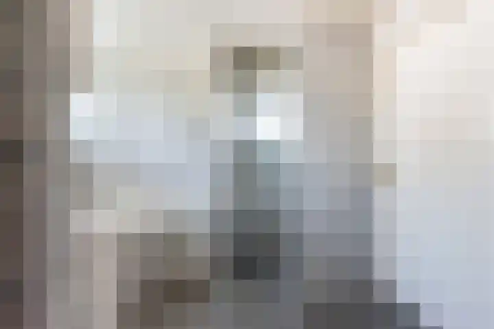 Rozenstraat 4 Gendringen thumbnail 38