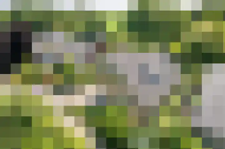 Rozenstraat 4 Gendringen thumbnail 4
