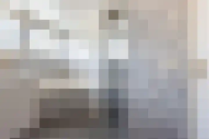 Rozenstraat 4 Gendringen thumbnail 40