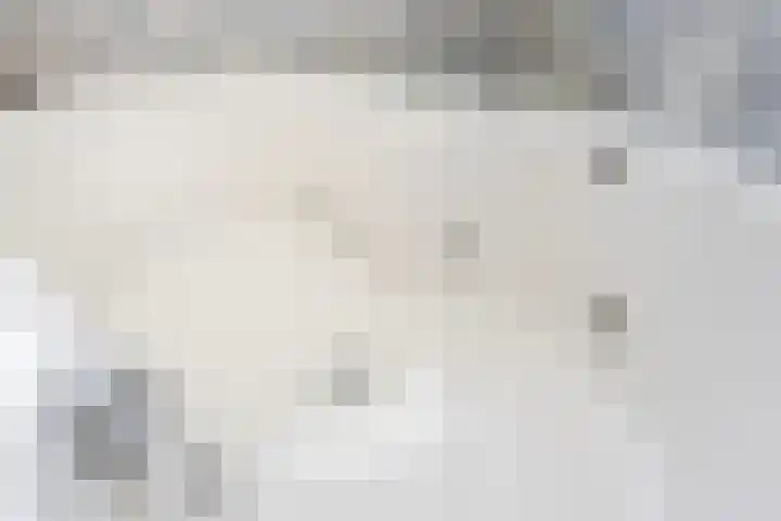 Rozenstraat 4 Gendringen thumbnail 41