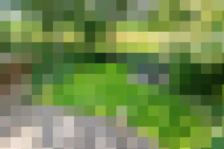 Rozenstraat 4 Gendringen thumbnail 46