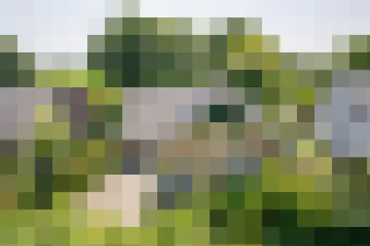 Rozenstraat 4 Gendringen thumbnail 5