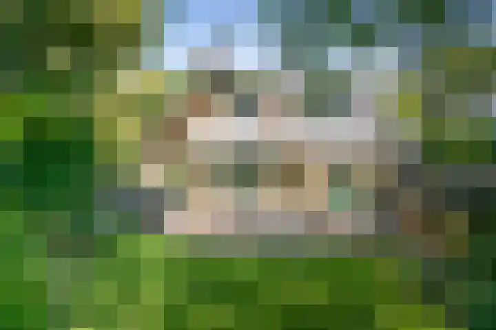 Rozenstraat 4 Gendringen thumbnail 51