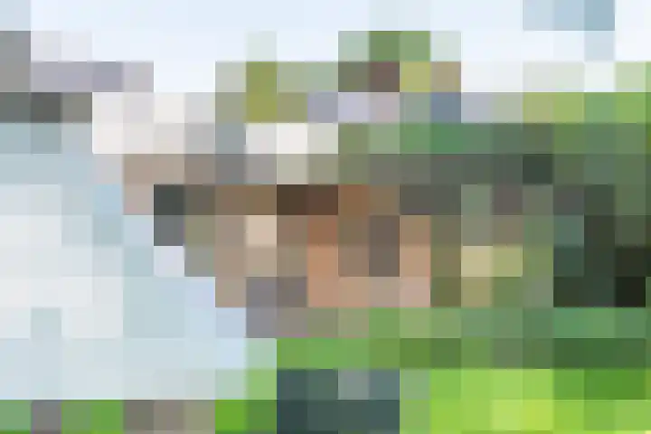 Rozenstraat 4 Gendringen thumbnail 52