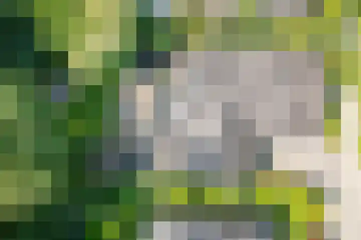 Rozenstraat 4 Gendringen thumbnail 54