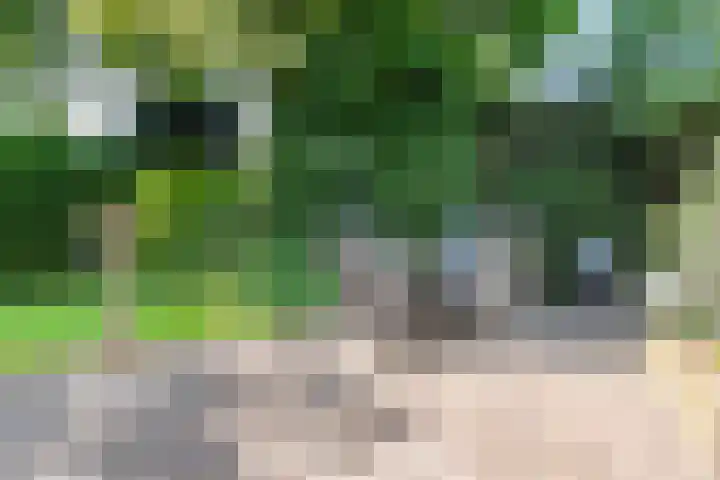 Rozenstraat 4 Gendringen thumbnail 55