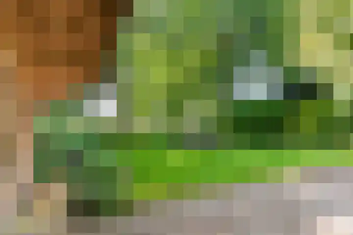 Rozenstraat 4 Gendringen thumbnail 56