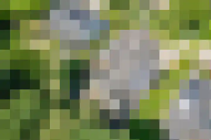 Rozenstraat 4 Gendringen thumbnail 57