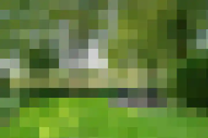 Rozenstraat 4 Gendringen thumbnail 58