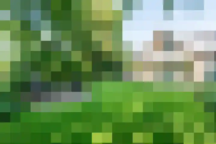 Rozenstraat 4 Gendringen thumbnail 59