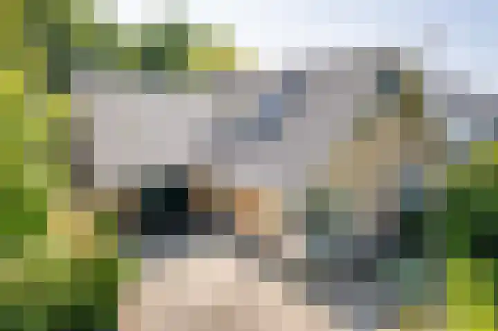 Rozenstraat 4 Gendringen thumbnail 6