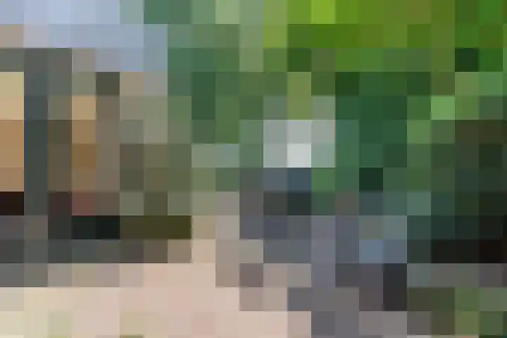 Rozenstraat 4 Gendringen thumbnail 60