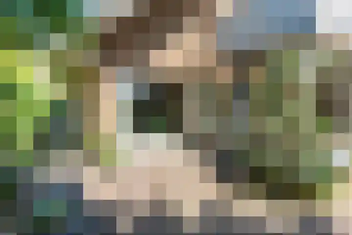 Rozenstraat 4 Gendringen thumbnail 61