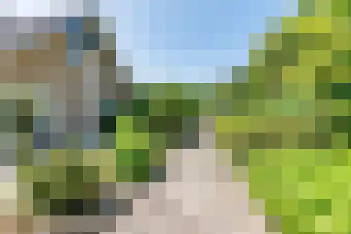 Rozenstraat 4 Gendringen thumbnail 62