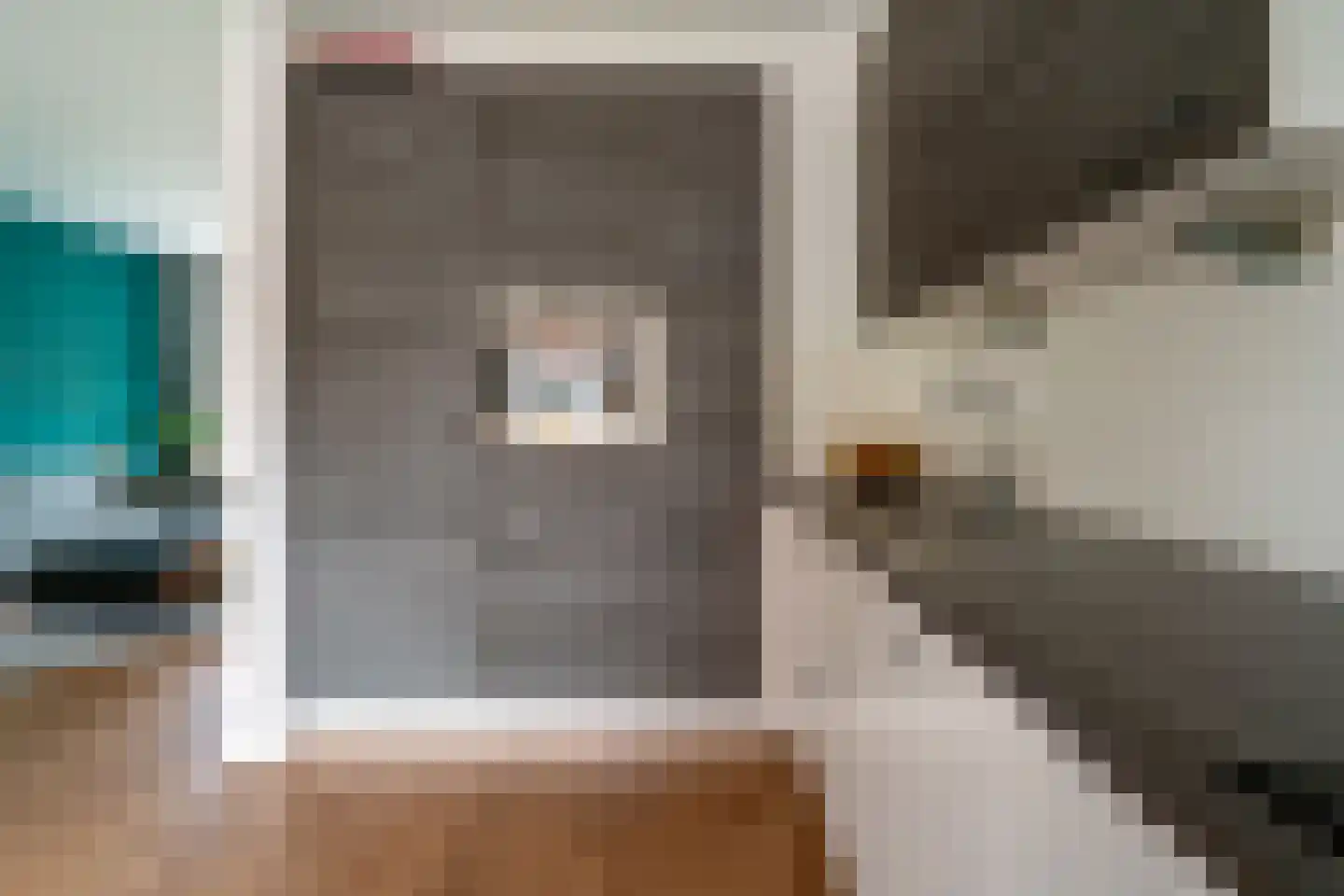 Rozenstraat 4 Giesbeek thumbnail 21