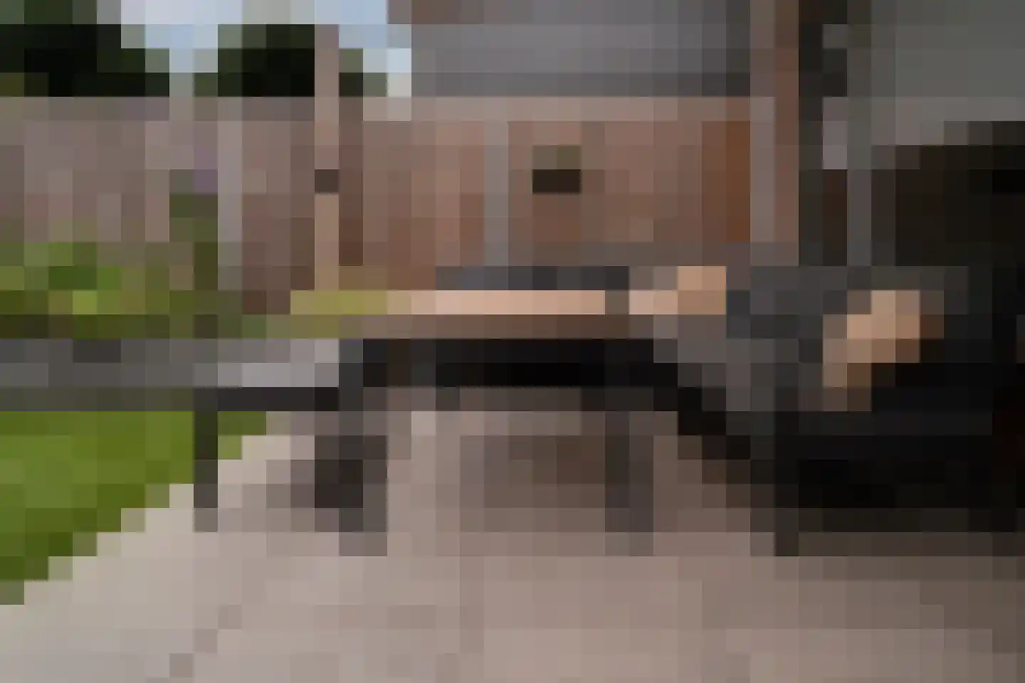 Rozenstraat 4 Giesbeek thumbnail 24