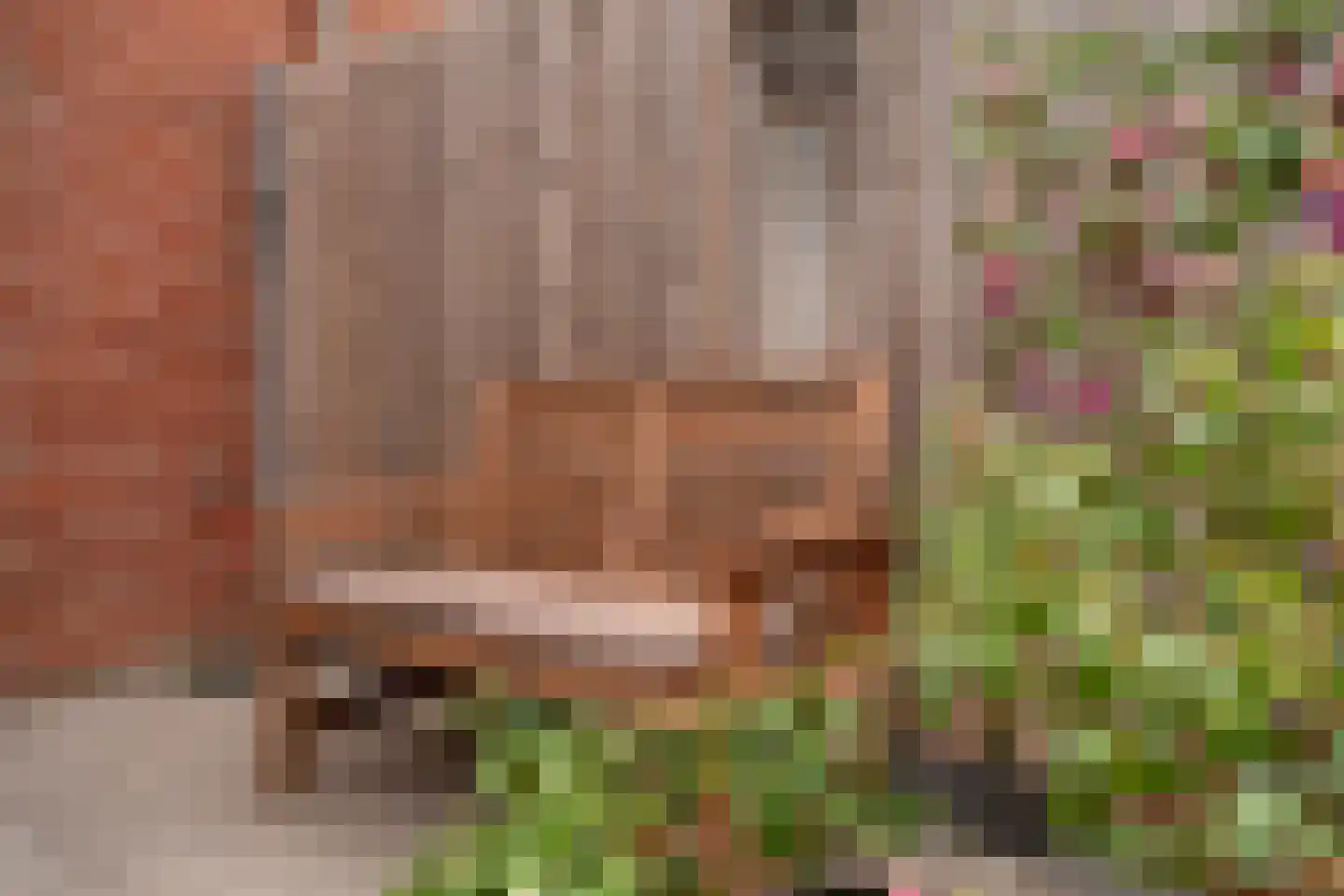 Rozenstraat 4 Giesbeek thumbnail 25