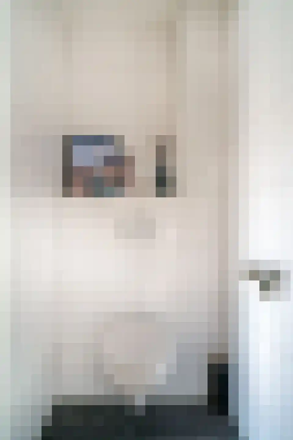 Rozenstraat 4 Giesbeek thumbnail 30