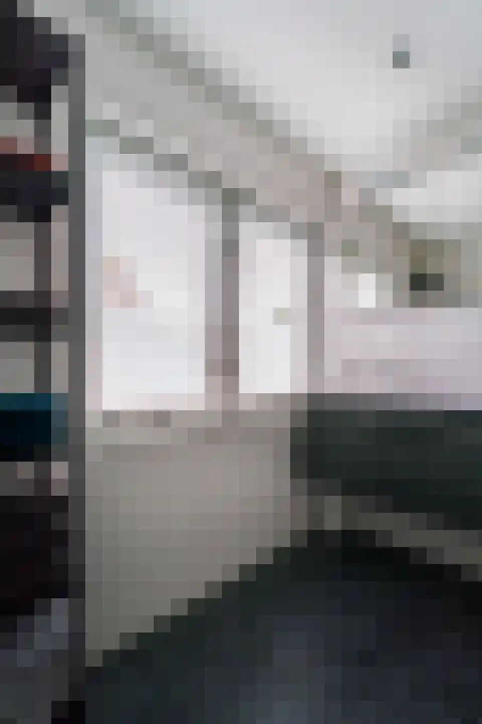 Rozenstraat 4 Giesbeek thumbnail 4